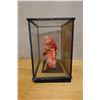 Image 8 : Japanese Noh Theater Doll  in Glass Case 14.5" x 11" x 16"H