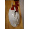 Image 8 : Chicken w/ Egg Ceramic Bank 12" x 13.5"