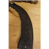 Image 5 : Indonesian Carved Tribal Horn 18" x 13" x 3"