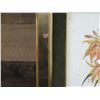 Image 5 : Chinese Floral Pith Painting 13" x 11", Framed