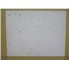 Image 8 : Chinese Floral Pith Painting 13" x 11", Framed