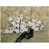 Image 2 : Japan Plum Blossom Artwork w/ Maker's Mark 22.25" x 26", Framed & Matted