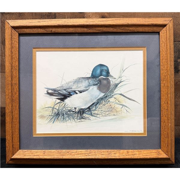 Duck Artwork by Joel Kirk 15" x 13", Framed & Matted