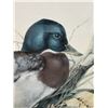 Image 2 : Duck Artwork by Joel Kirk 15" x 13", Framed & Matted