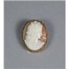 Image 1 : A 10 kt Yellow Gold Shell Cameo Pendant Brooch.