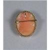 Image 2 : A 10 kt Yellow Gold Shell Cameo Pendant Brooch.