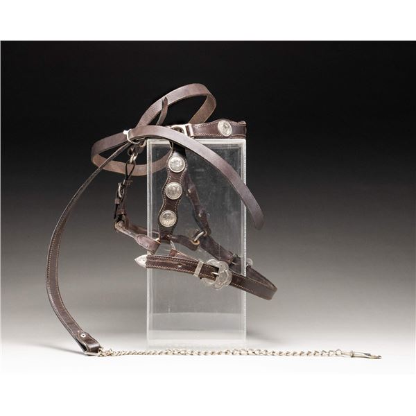 SILVER MOUNTED HORSE BRIDLE.