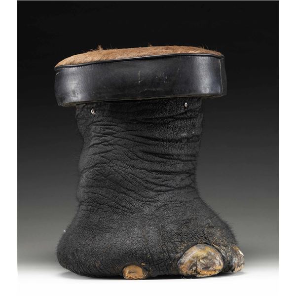 REAL ELEPHANT FOOT MADE INTO A STOOL.