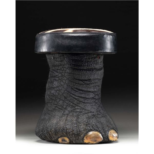 REAL ELEPHANT FOOT MADE INTO A STOOL.