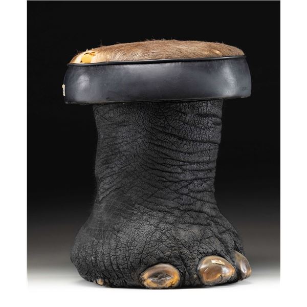 REAL ELEPHANT FOOT MADE INTO A STOOL.