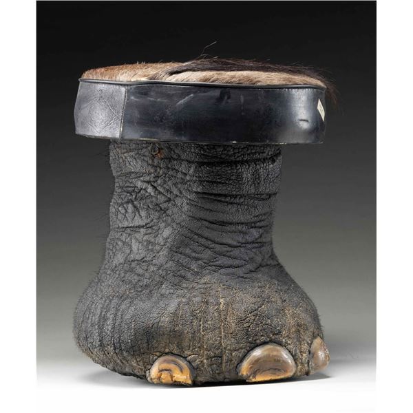 REAL ELEPHANT FOOT MADE INTO A STOOL.