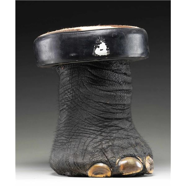 REAL ELEPHANT FOOT MADE INTO A STOOL.