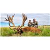 Image 3 : 6-Nights Argentina Red Stag & Blackbuck Hunt for 2 Hunters with Poitahue Ranch