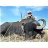 Image 5 : 6-Nights Argentina Red Stag & Blackbuck Hunt for 2 Hunters with Poitahue Ranch