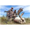 Image 6 : 6-Nights Argentina Red Stag & Blackbuck Hunt for 2 Hunters with Poitahue Ranch