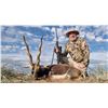 Image 7 : 6-Nights Argentina Red Stag & Blackbuck Hunt for 2 Hunters with Poitahue Ranch