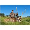 Image 8 : 6-Nights Argentina Red Stag & Blackbuck Hunt for 2 Hunters with Poitahue Ranch