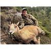 Image 1 : 4 Day Hunt for 2 Hunter & 2 Observer in Northeast Spain to hunt 1 Animal Each Hunters Choice
