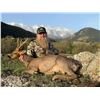 Image 2 : 4 Day Hunt for 2 Hunter & 2 Observer in Northeast Spain to hunt 1 Animal Each Hunters Choice