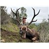 Image 3 : 4 Day Hunt for 2 Hunter & 2 Observer in Northeast Spain to hunt 1 Animal Each Hunters Choice