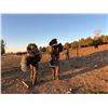Image 11 : Guided Merriam Turkey Hunt for 2 Hunters in Southwest Colorado with Western Sky Outfitters