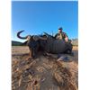 Image 8 : 10 Day – Amazing South Africa hunt for 15 animals to be shared by 2 Hunters