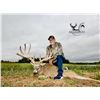 Image 1 : Five Star Ohio Whitetail Hunt for 2 Hunters for 3 days and 4 Nights