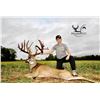 Image 4 : Five Star Ohio Whitetail Hunt for 2 Hunters for 3 days and 4 Nights