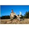 Image 8 : Five Star Ohio Whitetail Hunt for 2 Hunters for 3 days and 4 Nights