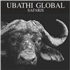 Image 2 : 10 Day/9 Night Plains Game Hunt in the Limpopo Province South Africa for 2 Hunters for 2 Cow Buffalo