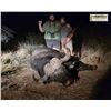 Image 5 : 10 Day/9 Night Plains Game Hunt in the Limpopo Province South Africa for 2 Hunters for 2 Cow Buffalo