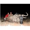 Image 3 : 10 Day South African Plains Game Hunt for 2 Hunters with Limcroma Safaris