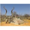 Image 5 : 10 Day South African Plains Game Hunt for 2 Hunters with Limcroma Safaris
