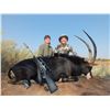Image 6 : 10 Day South African Plains Game Hunt for 2 Hunters with Limcroma Safaris