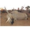 Image 7 : 10 Day South African Plains Game Hunt for 2 Hunters with Limcroma Safaris