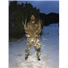 Image 14 : Fully Guided New Mexico Mule Deer Hunt in 2026 for 1 Hunter with Milagro Mule Deer Hunts in GMU 39