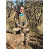 Image 15 : Fully Guided New Mexico Mule Deer Hunt in 2026 for 1 Hunter with Milagro Mule Deer Hunts in GMU 39