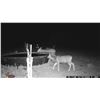 Image 21 : Fully Guided New Mexico Mule Deer Hunt in 2026 for 1 Hunter with Milagro Mule Deer Hunts in GMU 39