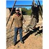 Image 24 : Fully Guided New Mexico Mule Deer Hunt in 2026 for 1 Hunter with Milagro Mule Deer Hunts in GMU 39