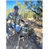Image 6 : Fully Guided New Mexico Mule Deer Hunt in 2026 for 1 Hunter with Milagro Mule Deer Hunts in GMU 39