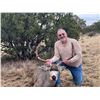 Image 7 : Fully Guided New Mexico Mule Deer Hunt in 2026 for 1 Hunter with Milagro Mule Deer Hunts in GMU 39