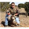 Image 8 : Fully Guided New Mexico Mule Deer Hunt in 2026 for 1 Hunter with Milagro Mule Deer Hunts in GMU 39