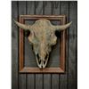 Image 1 : Mounted Mature Bison Skull — Bronze-Clad with Light Patina (22" x 27" Frame)