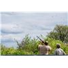 Image 10 : Argentina Dove Hunt for 4 Hunters * 3 Days of Hunting & 3 Nights with David Denies