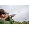 Image 1 : Argentina Dove Hunt for 4 Hunters * 3 Days of Hunting & 3 Nights with David Denies