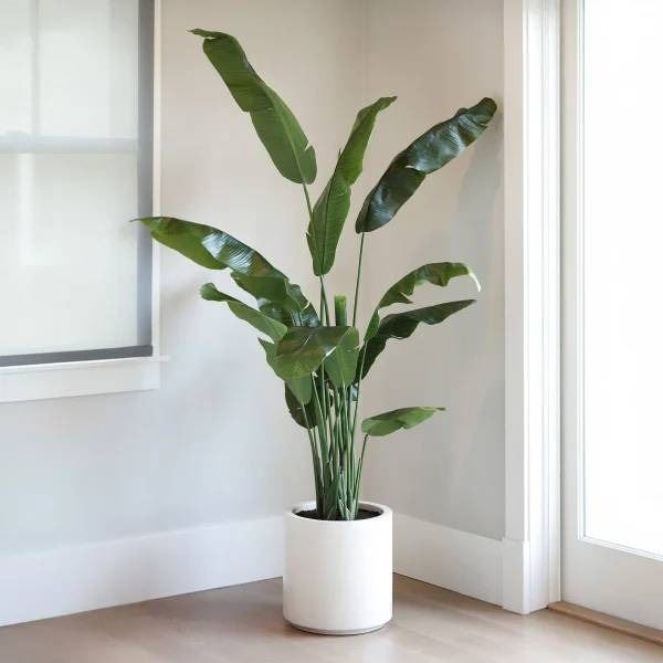 Artificial Banana Tree with 1.9m (6.5 ft) Height