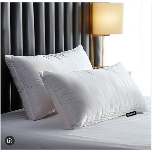 Beautyrest Pillows, Standard/Queen Size, 20 x 28 in (51 x 71 cm), Set of 2