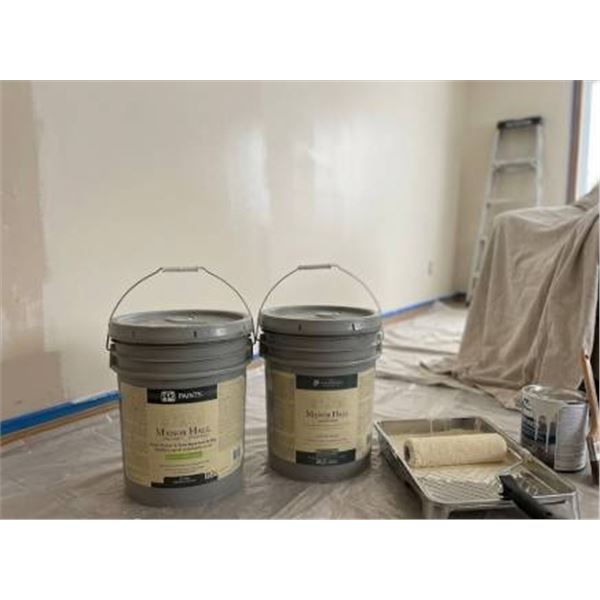 PPG Manor Hall Interior Paint Eggshell Finish 18.3L (2 Units)