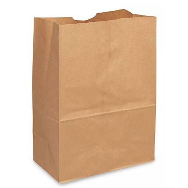 500-Pack of Brown Paper Grocery Bags, 12x7x17 DD50