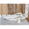 Image 1 : Big Alligator Skull Taxidermy